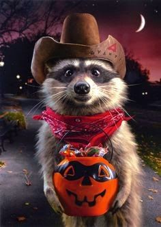 a raccoon wearing a cowboy hat and holding a pumpkin