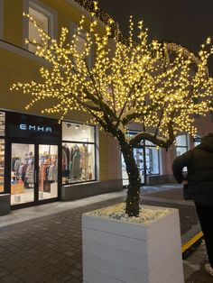 a tree with lights on it in front of a store