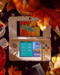 a nintendo wii game system sitting on top of a table next to autumn leaves and other items