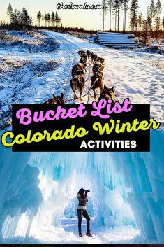 a person standing in the snow with two dogs on their back and text overlay that reads bucket list colorado winter activities