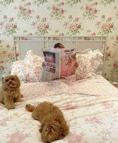 two dogs laying on a bed reading a magazine