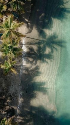 an aerial view of the beach with palm trees and clear blue water in the foreground