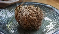 a ball of brown stuff sitting on top of a blue and green plate next to a wooden table