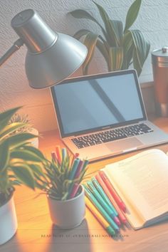 an open laptop computer sitting on top of a wooden desk next to a potted plant