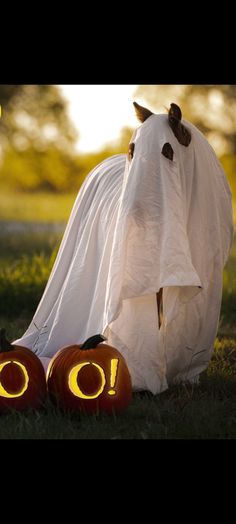 two pumpkins that have been carved to look like ghost