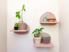 two pink shelves with plants on them against a white wall, one has a potted plant