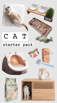 the cat starter pack is packed and ready to be used as a pet bed, litter box, dishwasher