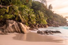 the beach is lined with large rocks and palm trees