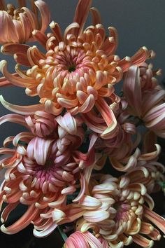 an arrangement of pink and orange flowers in a vase