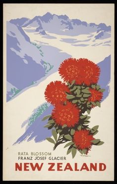 a vintage new zealand ski poster with red flowers in the foreground and mountains in the background