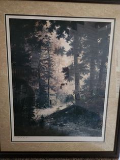 an old photo of a wooded area with trees