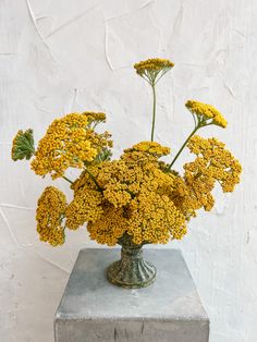 a vase filled with yellow flowers sitting on top of a cement block in front of a white wall