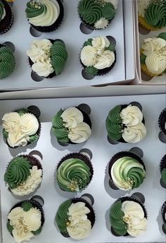 cupcakes with green and white frosting in boxes