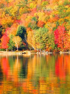 the trees are changing colors and reflecting in the water