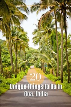 a road surrounded by palm trees with the words 20 unique things to do in goa, india