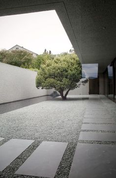 a tree is in the middle of an empty courtyard