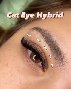 Lash Map, Eyelash Tips, Eyelash Technician, Soft Makeup Looks