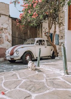 an old white car parked in front of a house