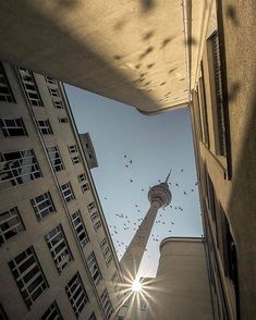 the sun shines brightly in front of tall buildings with birds flying around on a clear day