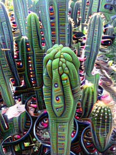 a cactus with many different colors and patterns on it's head, surrounded by other plants