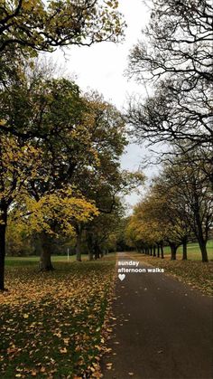 the road is lined with trees and leaves