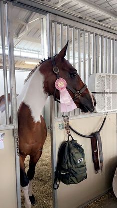 a brown and white horse standing inside of a stall