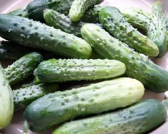 green cucumbers are sitting on a white plate