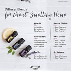 Make Your House Smell Amazing, Essential Oil Perfumes Recipes, Essential Oils Guide