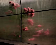 some pink flowers are growing out of a window