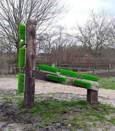 three green brushes sitting on top of a wooden bench in the dirt near trees and grass