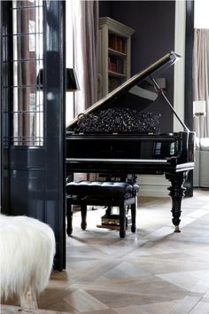 a dog is standing in front of a piano