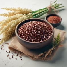 two bowls filled with red and white seed on top of a cloth next to some green stalks