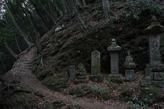 an old cemetery in the middle of a forest