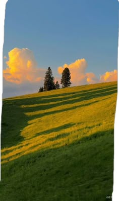 an open field with trees in the distance