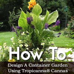 a garden with flowers and plants in the background text reads how to design a container garden using tropicana & canvass