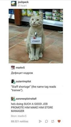 a cat sitting on top of a tile floor next to a sign that says,