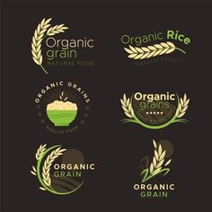 organic food logo set with wheat, rice and other items in the shape of a circle