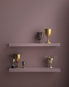 three white shelves with gold and silver trophies on them against a purple wall in a room