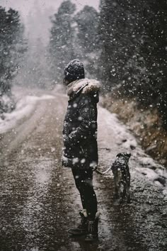 a person walking their dog in the snow