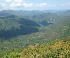 the mountains are covered with green trees