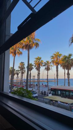 palm trees line the beach as seen through a window