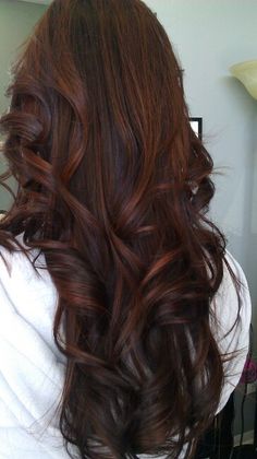 Red Brown Hair With Red Tint Natural, Long Dark Auburn Hair, Red Low Lights Brown Hair, Dark Brown With Red Hair, Rich Red Brown Hair Color, Long Red Brown Hair, Dark Brown Hair Red Highlights, Deep Red Brown Hair Color, Winter Red Hair Color