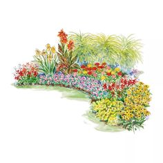 an illustration of a garden with flowers and plants growing on the sides of each other