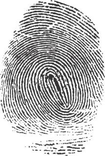 a fingerprint is shown in black and white, vintage line drawing or engraving illustration