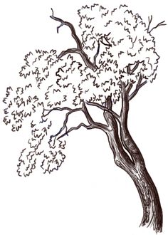 a drawing of a tree with leaves on it