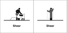 three different types of sheep and shepherds