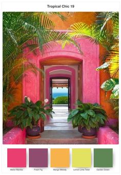 an image of a pink house with green plants in the doorway and color swatches