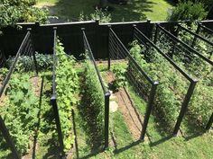 an aerial view of a vegetable garden in the back yard, looking down on it