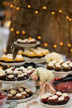 desserts and pastries are displayed on the table