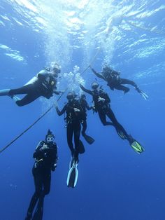 several people are swimming in the water with snorkels on their back legs